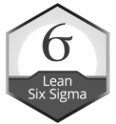 L6S
